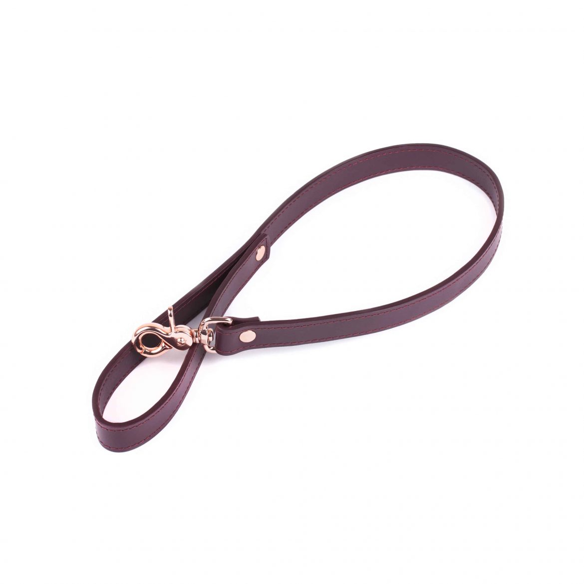 bdsm long leather leash 17 1 scaled