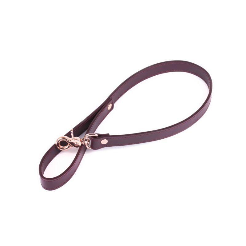 bdsm medium length leather leash 1 1 scaled