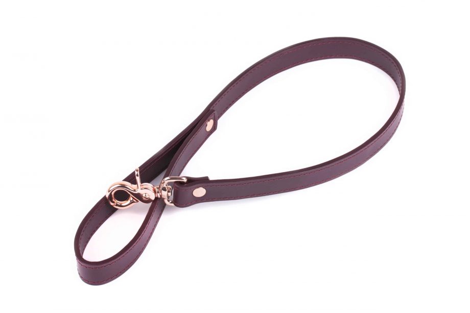 bdsm medium length leather leash 1 1 scaled