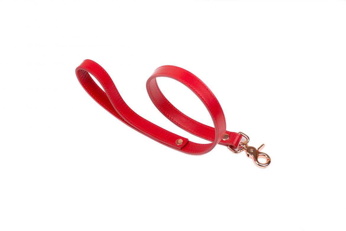 bdsm medium length leather leash 13 1 scaled